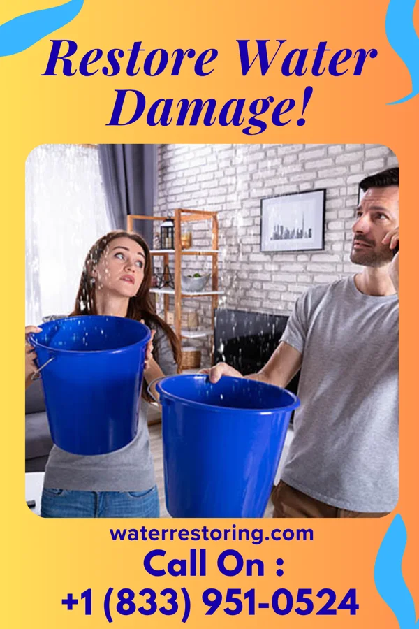 water restoration Eco Sewage Cleanup Authority Loudonville