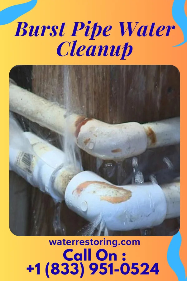 Burst Pipe Water Cleanup in Loudonville, NY