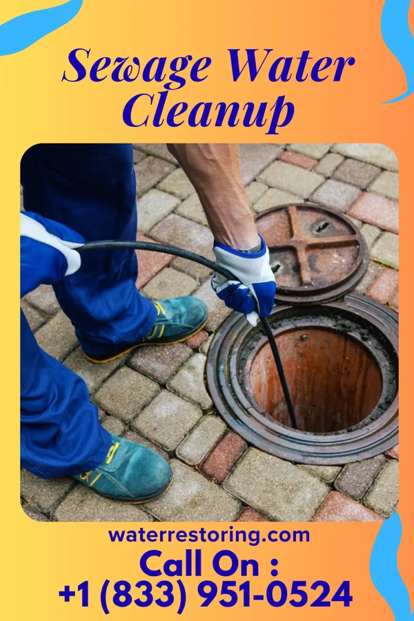 Sewage Water Cleanup in Loudonville, NY